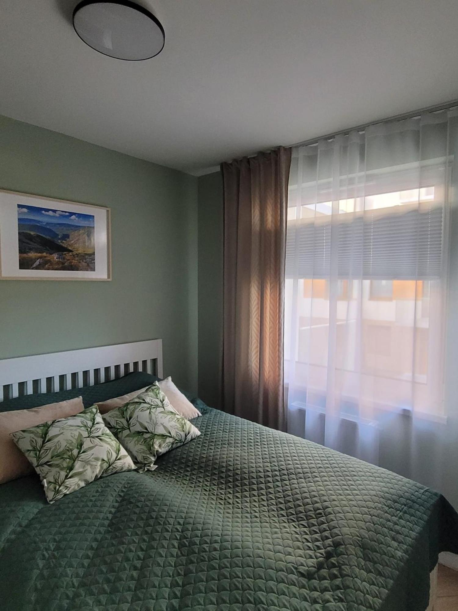 Residenz Kapielowa - Widok Na Sniezke